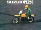 Suzuki PE 250